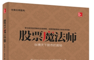 《股票魔法师2pdf》网盘资源下载地址分享!