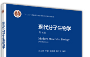 《现代分子生物学朱玉贤pdf》网盘资源下载地址分享!