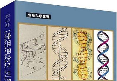 《基因的分子生物学7》网盘资源下载地址分享!