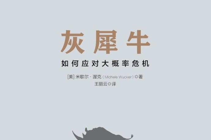 《灰犀牛:如何应对大概率危机pdf》网盘资源下载地址分享!