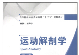 《运动解剖学》网盘资源下载地址分享!